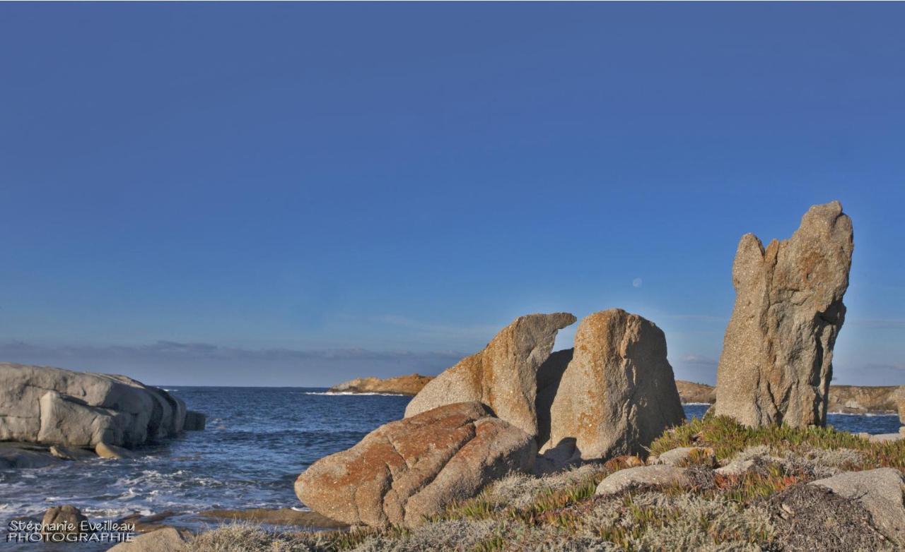 Casa Delia Leilighet LʼÎle-Rousse Eksteriør bilde
